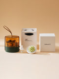 Green Hydrangea Scented Aroma Set